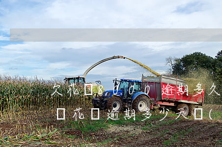 欠花唄8000逾期多久會(huì)被起訴(花唄逾期多少天會(huì)起訴,我已經(jīng)還了200多)