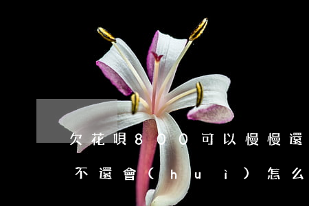 欠花唄800可以慢慢還嗎(花唄欠了800不還會(huì)怎么樣?)
