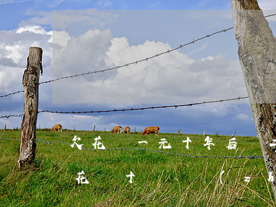 欠花唄一元十年后還二萬的視頻-如果欠了花唄十塊錢長(zhǎng)時(shí)間不還會(huì)有利息嗎