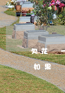 欠花唄一千塊錢半年沒還(花唄欠了1千塊錢如果長(zhǎng)期不還怎么樣)