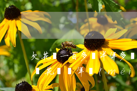 欠花唄一百多塊半年多沒(méi)還(幾百塊花唄兩年沒(méi)還)