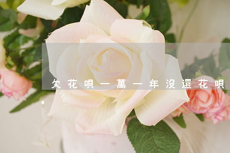 欠花唄一萬一年沒還(花唄1年沒還)