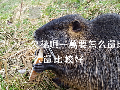 欠花唄一萬要怎么還比較好(欠花唄一萬要怎么還比較好)