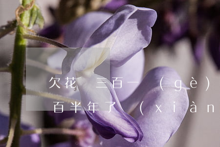 欠花唄三百一個(gè)月在還(花唄欠了三百半年了,現(xiàn)在還上還可以用嗎)