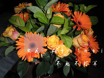 欠花唄二千沒(méi)錢還(花唄欠兩千多塊錢,還不起不打算還了)