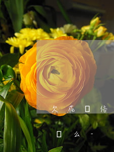 欠花唄信用卡會影響大額轉(zhuǎn)賬么-
