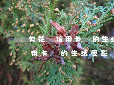 欠花唄信用卡錢的生活受影響嗎-欠花唄信用卡錢的生活受影響嗎安全嗎