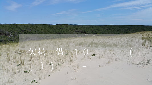 欠花唄借唄10幾萬無經(jīng)濟(jì)償還-