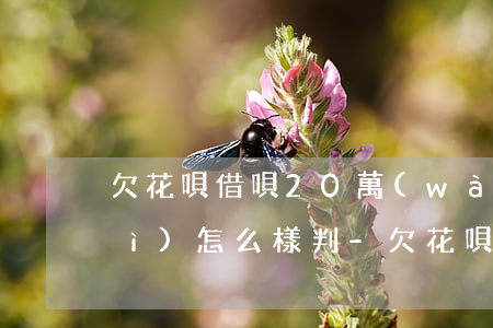 欠花唄借唄20萬(wàn)法院會(huì)怎么樣判-欠花唄借唄20萬(wàn)法院會(huì)怎么樣判決呢