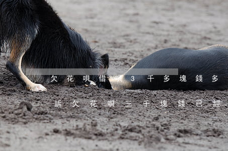 欠花唄借唄3千多塊錢多久會(huì)起訴(欠花唄三千塊錢已經(jīng)了兩年了沒還會(huì)不會(huì)被會(huì)起訴)
