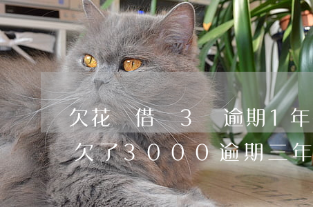 欠花唄借唄3萬逾期1年要還多少(螞蟻借唄欠了3000,逾期三年是多少錢)