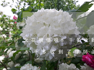 欠花唄借唄5千多收到了律師函(欠花唄借唄5千多收到了律師函)