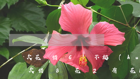 欠花唄借唄6萬還不起會(huì)坐牢嗎(欠借唄8萬花唄2萬有錢花10萬,會(huì)坐牢嗎)