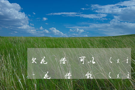 欠花唄借唄可以協(xié)商減免利息嗎-花唄借唄能協(xié)商還本金嗎