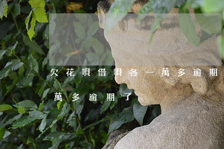 欠花唄借唄各一萬多逾期了(欠花唄借唄各一萬多逾期了)
