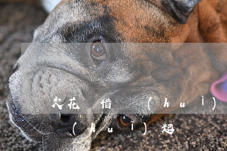 欠花唄借唄會(huì)被起訴嗎(花唄借唄會(huì)起訴嗎?)