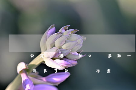 欠花唄借唄欠2萬逾期一年(花唄借唄逾期兩年多了,欠兩萬本金)
