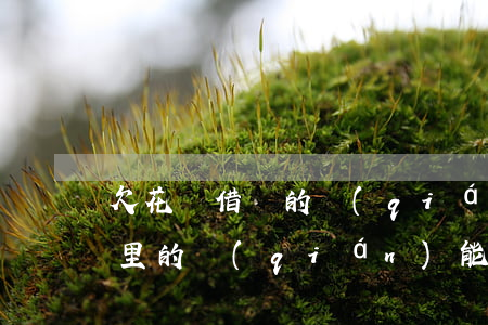 欠花唄借唄的錢(qián)還用還嗎(借唄里的錢(qián)能還花唄嗎)