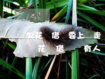 欠花唄借唄要上門走訪該怎么處理-欠支付寶花唄借唄錢有人說上門走訪是真是假