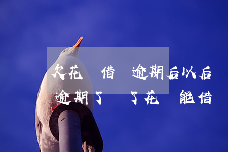 欠花唄借唄逾期后以后還清可以嗎(花唄借唄逾期了還了,花唄能借錢(qián)嗎)