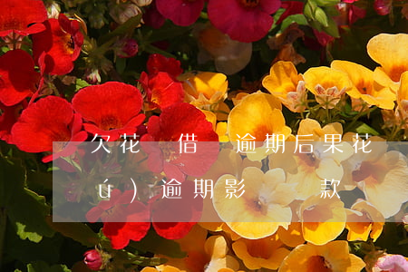 欠花唄借唄逾期后果(花唄借唄有欠款無(wú)逾期影響貸款嗎?)
