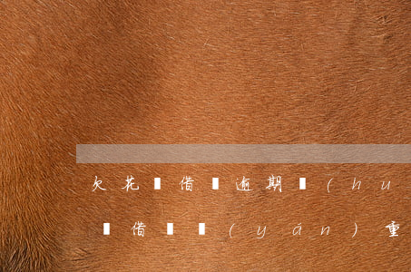 欠花唄借唄逾期會(huì)怎樣(支付寶花唄借唄嚴(yán)重逾期會(huì)怎樣)