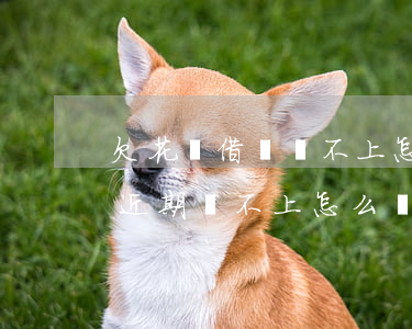欠花唄借唄還不上怎么協(xié)商(借唄近期還不上怎么協(xié)商)