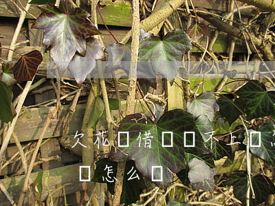 欠花唄借唄還不上會怎么樣(借唄如果還不上會怎么樣)