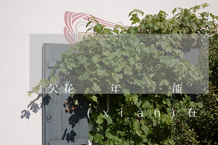 欠花唄兩年沒還還能還嗎(花唄欠了兩個月沒還現(xiàn)在還了還能用嗎)