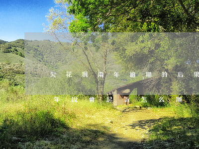 欠花唄兩年逾期的后果(花唄欠款三千逾期2年說會起訴怎么辦)