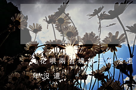 欠花唄兩百塊錢三年沒還(花唄3000塊兩年沒還)