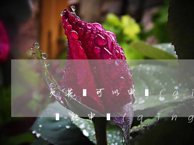 欠花唄可以申請(qǐng)借唄嗎(有花唄還能申請(qǐng)借唄嗎)