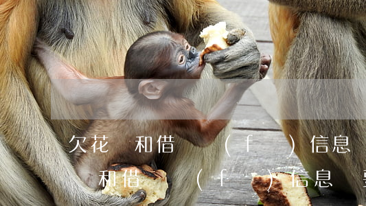 欠花唄和借唄發(fā)信息說要上門(欠花唄和借唄發(fā)信息說要上門)