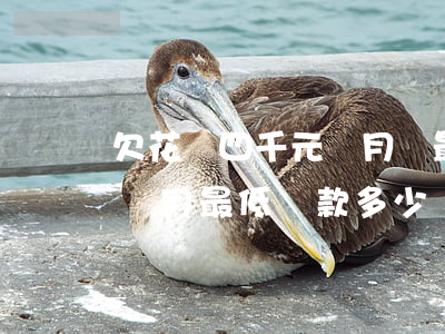 欠花唄四千元當月還最低款(花唄欠兩千五每個月最低還款多少錢)
