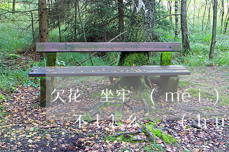 欠花唄坐牢沒(méi)辦法還怎么辦(花唄還不上怎么辦會(huì)判刑嗎)