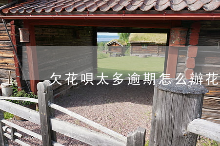 欠花唄太多逾期怎么辦(花唄欠太久會怎么樣)