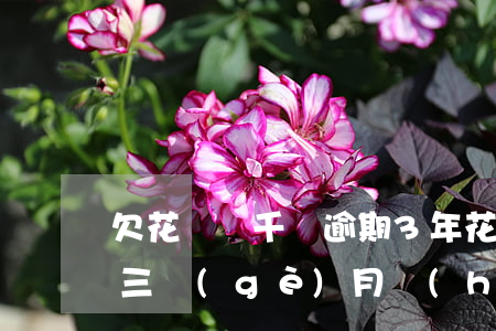 欠花唄幾千塊逾期3年(花唄欠了幾千塊欠了三個(gè)月會(huì)被起訴嗎)