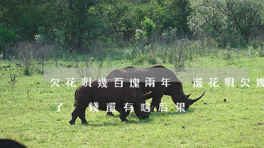 欠花唄幾百塊兩年沒還(花唄欠幾千塊錢半年了沒錢還有啥后果)