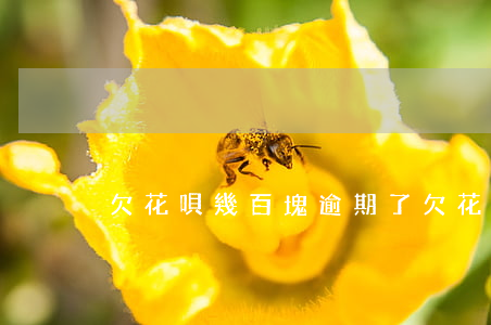 欠花唄幾百塊逾期了(欠花唄幾百塊逾期了)