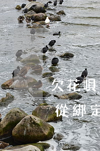 欠花唄會從信用卡扣嗎(花唄欠錢會不會直接從綁定的銀行卡里扣)