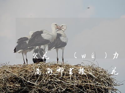 欠花唄無(wú)力償還不給協(xié)商向哪里投訴-花唄還不上可以通過(guò)什么方法協(xié)商嗎