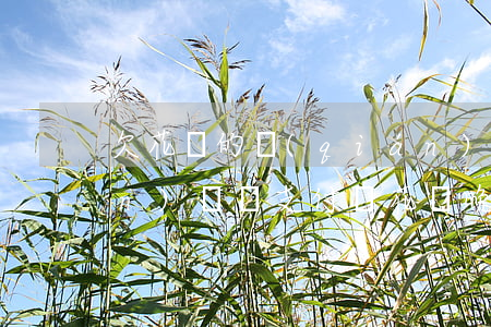 欠花唄的錢(qián)可以晚點(diǎn)還嗎(支付寶花唄晚點(diǎn)還款沒(méi)事吧)