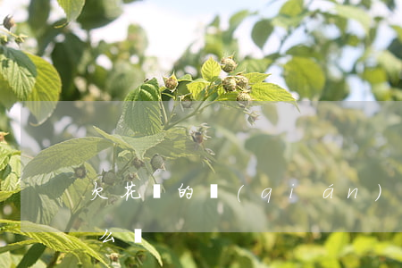 欠花唄的錢(qián)沒(méi)還怎么辦