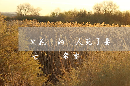 欠花唄的錢人死了要還嗎(欠了花唄人突然死亡,錢還需要還嗎)