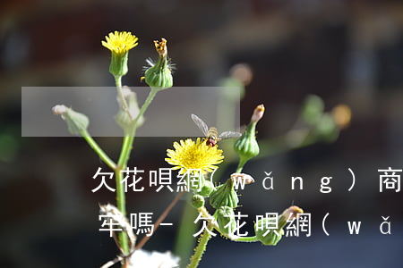 欠花唄網(wǎng)商貸的8萬起訴會坐牢嗎-欠花唄網(wǎng)商貸的8萬起訴會坐牢嗎知乎