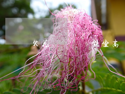 欠花唄網貸還能坐高鐵嗎(網貸不還高鐵能坐嗎)