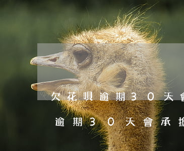 欠花唄逾期30天會承擔什么責任-欠花唄逾期30天會承擔什么責任呢