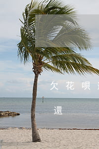 欠花唄逾期一年多沒還(欠花唄逾期一年多沒還)