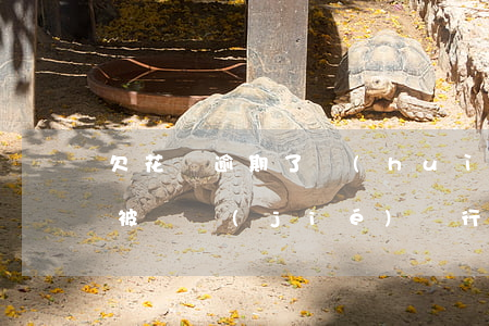 欠花唄逾期了會(huì)不會(huì)被凍結(jié)銀行卡-欠花唄逾期了會(huì)不會(huì)被凍結(jié)銀行卡呢
