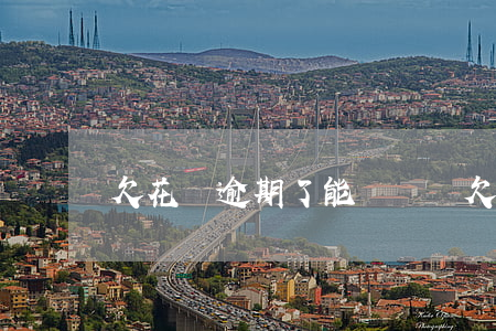 欠花唄逾期了能參軍嗎(欠花唄逾期了能參軍嗎)